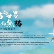 The First Digital International Panda Festival Opens on November 3, 2020 in Meishan, China