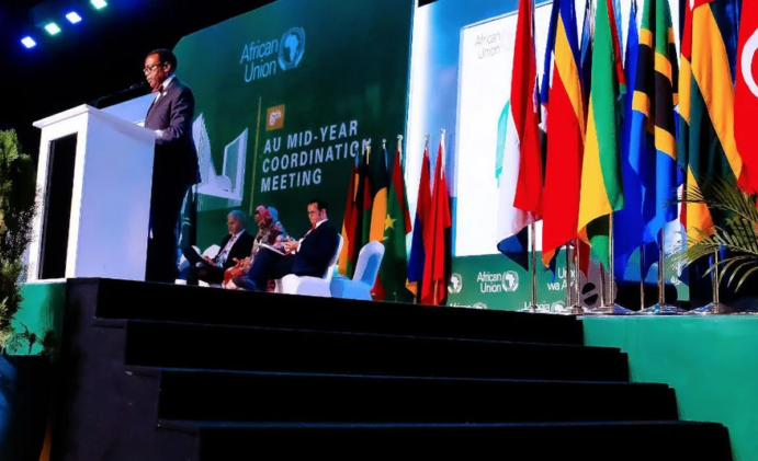 African Development Bank’s Akinwumi Adesina briefs African leaders on Bank’s progress in mobilizing financial resources for the continent